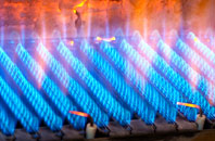 Danesbury gas fired boilers