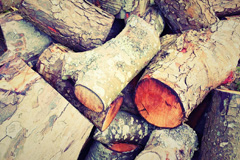Danesbury wood burning boiler costs